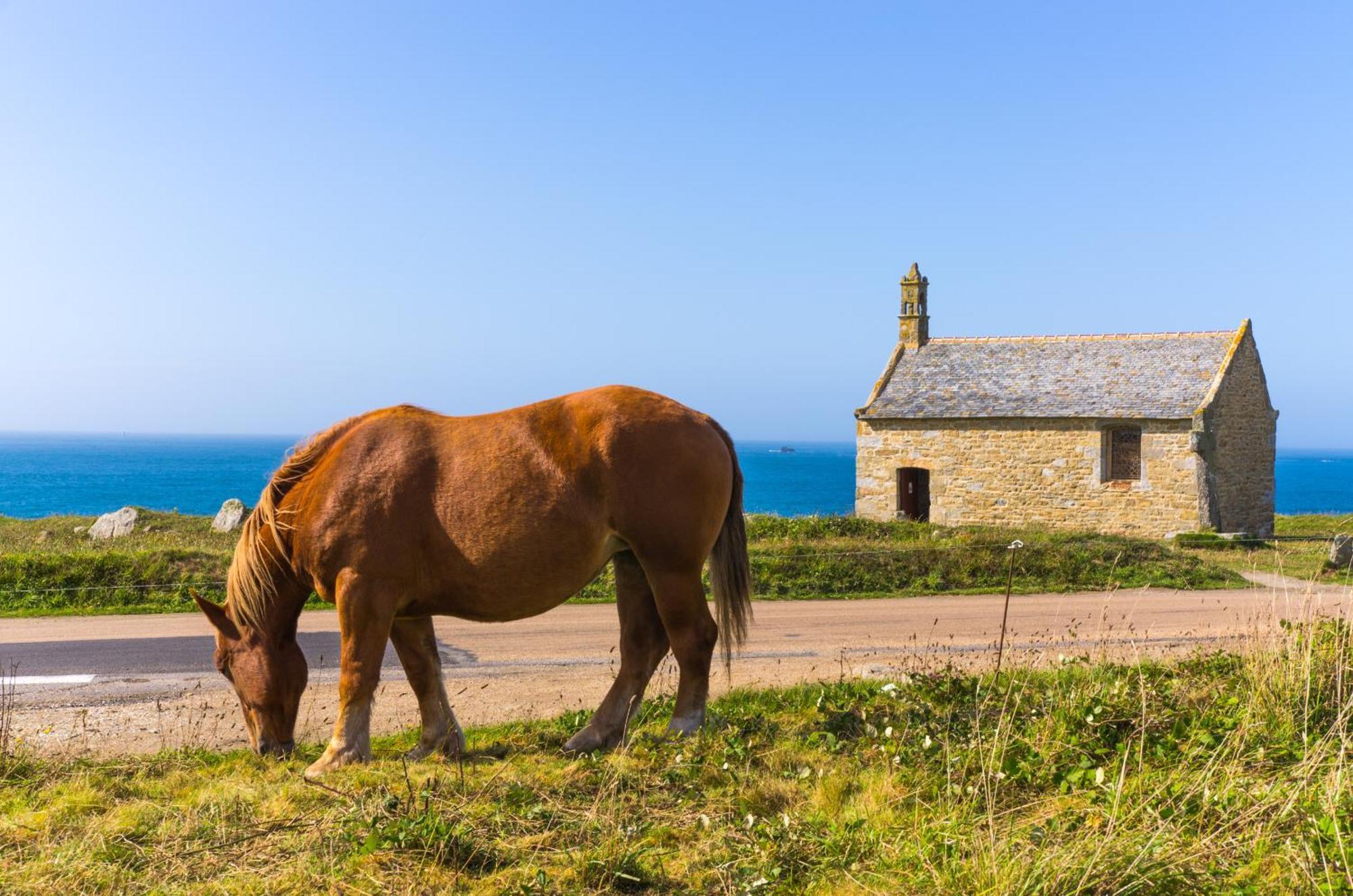 Ker Stivell - Superbe Maison Neuve A 2 Pas De La Mer Landunvez Екстер'єр фото